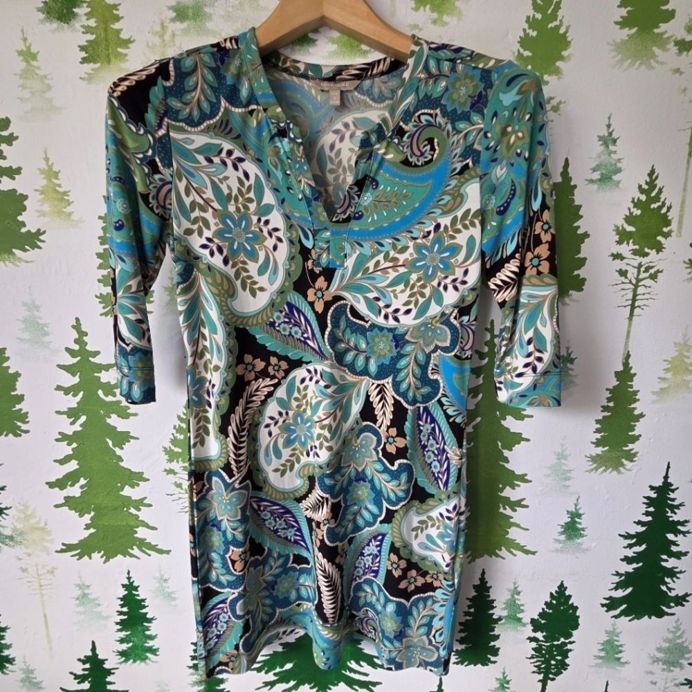 Banana Republic Multicolor Paisley Dress